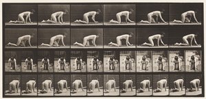 182. tábla. Kúszás kézen és térden alkotó: Eadweard Muybridge