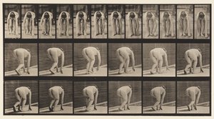 184. tábla. Kézen és lábon járás alkotó: Eadweard Muybridge