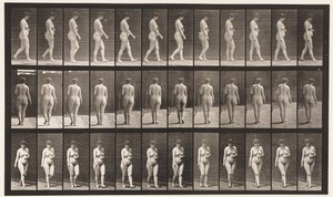 18. tábla. Séta, bal kézzel keresztben a hason, 1872-1885 alkotó: Eadweard Muybridge