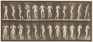 195. tányér. Táncos keringő alkotó: Eadweard Muybridge