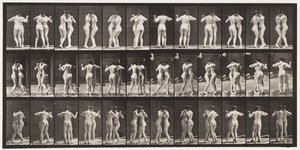196. tányér. Táncos keringő, két modell alkotó: Eadweard Muybridge