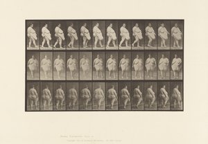 19. tábla. Séta, megfordulni kezd alkotó: Eadweard Muybridge