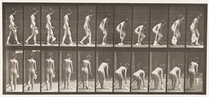 202. tábla. Zsebkendő leejtése és felemelése alkotó: Eadweard Muybridge