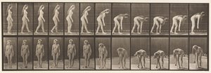 204. tányér. Megállás, hogy felvegye a labdát alkotó: Eadweard Muybridge