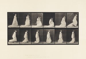 207. tábla. Lehajló és emelő vonat, 1885 alkotó: Eadweard Muybridge