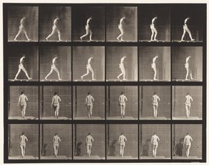 20. tábla. Járás, jobb könyök hajlítva alkotó: Eadweard Muybridge