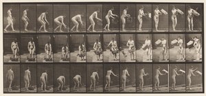 213. tányér. Emelő- és ürítőkosár alkotó: Eadweard Muybridge