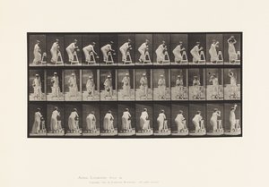 216. tányér. Hajlítás a víztartály megtöltéséhez; Jar felhelyezése a fejre alkotó: Eadweard Muybridge