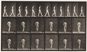 21. tábla. Járás, mindkét könyök behajlítva alkotó: Eadweard Muybridge
