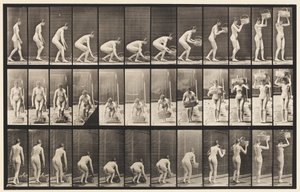 221. tábla. Hajlítás és 12 lb-os kosár felemelése a fejhez alkotó: Eadweard Muybridge