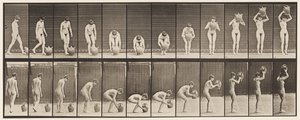 224-es tányér. Lehajlás és felemelés vízkorsó fejéhez alkotó: Eadweard Muybridge