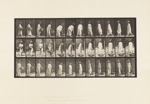229. tábla. Kosár földre helyezése és forgatás alkotó: Eadweard Muybridge