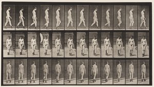 22. tábla. Séta, magas sarkú csizmával, 1872-1885 alkotó: Eadweard Muybridge