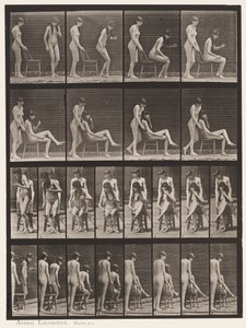 239-es tábla. Két modell: az egyik álló, a másik ülve, keresztezve a lábakat alkotó: Eadweard Muybridge