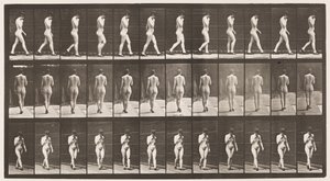 23. tábla. Járás, jobb kéz az állnál, magas sarkú cipő rajta alkotó: Eadweard Muybridge