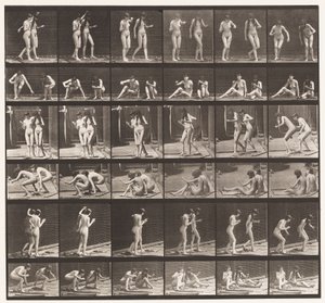 245. tábla. Két modell a földön ülve alkotó: Eadweard Muybridge