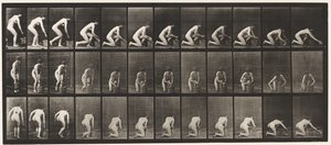 252. tábla. Térdelés a jobb térden és a padló súrolása, 1872-1885 alkotó: Eadweard Muybridge