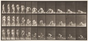 256. tábla. Földön fekvés és olvasás, 1872-1885 alkotó: Eadweard Muybridge