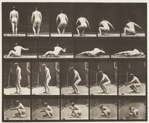 257. tábla.Földön fekve, 1885 alkotó: Eadweard Muybridge