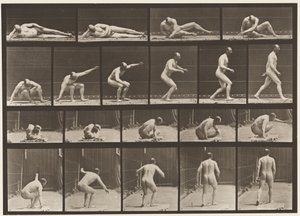 258. tábla. A földről felkelve és elsétálva alkotó: Eadweard Muybridge