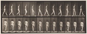 25. tábla. Séta, magas sarkú cipővel alkotó: Eadweard Muybridge