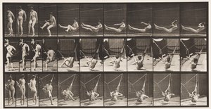261. tábla. Bejutás a függőágyba, 1872-1885 alkotó: Eadweard Muybridge