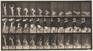262. tábla. Kiszállás a függőágyból alkotó: Eadweard Muybridge