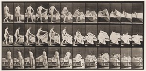 263. tábla. Befekvés alkotó: Eadweard Muybridge
