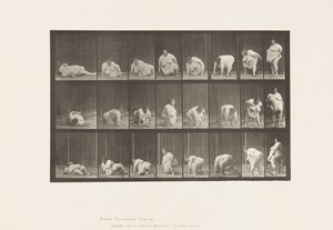 268. tábla.Földről kelve, 1885 alkotó: Eadweard Muybridge