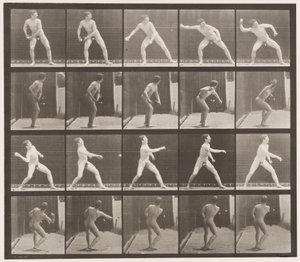 273. tányér. Baseball; Dobás alkotó: Eadweard Muybridge
