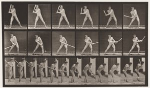 275. tányér.Alaplabda; Ütő (alacsony labda) alkotó: Eadweard Muybridge