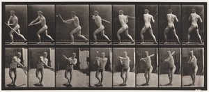 278. tányér. Base-ball; Ütőkezelés alkotó: Eadweard Muybridge