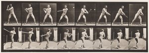 279. tányér.Alaplabda; Ütő, 1885 alkotó: Eadweard Muybridge