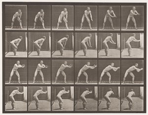 280-as tányér.Alaplabda; Fogás, 1885 alkotó: Eadweard Muybridge