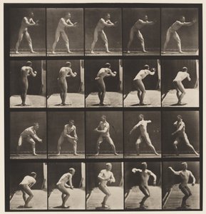 282. tányér.Alaplabda; Fogás és dobás, 1885 alkotó: Eadweard Muybridge