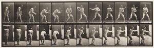 285. tányér. Baseball; Fogás és dobás alkotó: Eadweard Muybridge