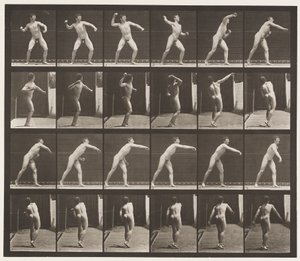 286. tányér. Baseball; Dobás alkotó: Eadweard Muybridge