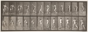 290. tányér.Tücsök; Over Arm Bowling, 1885 alkotó: Eadweard Muybridge