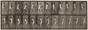 292. tányér.Tücsök; Ütőkezelés; Vissza, 1885 alkotó: Eadweard Muybridge