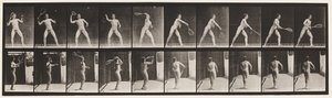 294. tányér. Gyeptenisz; Szolgáló alkotó: Eadweard Muybridge