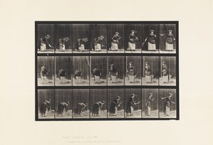 295. tányér. Gyeptenisz; Szolgáló alkotó: Eadweard Muybridge