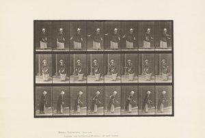 Tányér 296. Gyeptenisz alkotó: Eadweard Muybridge
