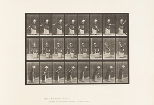 Tányér 297. Gyeptenisz alkotó: Eadweard Muybridge