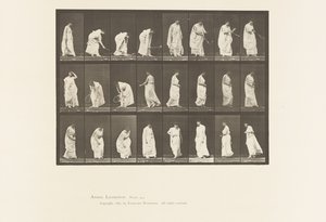 299. tábla. Játék labdával alkotó: Eadweard Muybridge