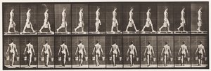 29. tábla. Séta, mindkét kezében vödör vizet hordva, 1872-1885 alkotó: Eadweard Muybridge