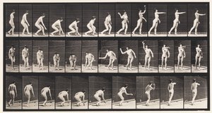 303. tábla. Labdafelvétel és eldobás, 1872-1885 alkotó: Eadweard Muybridge