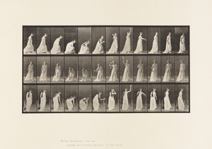306. tábla. Labdát felvenni és eldobni, 1885 alkotó: Eadweard Muybridge