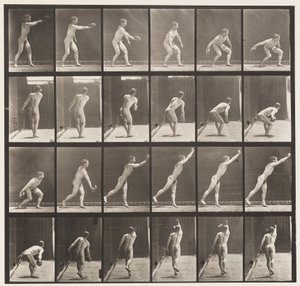 307. tábla Vaskorong dobása, 1872-1885 alkotó: Eadweard Muybridge