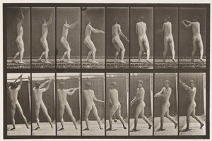 309. tábla. Kalapácsdobás alkotó: Eadweard Muybridge