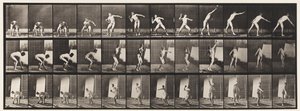 310. tábla. Lövés, 1885 alkotó: Eadweard Muybridge